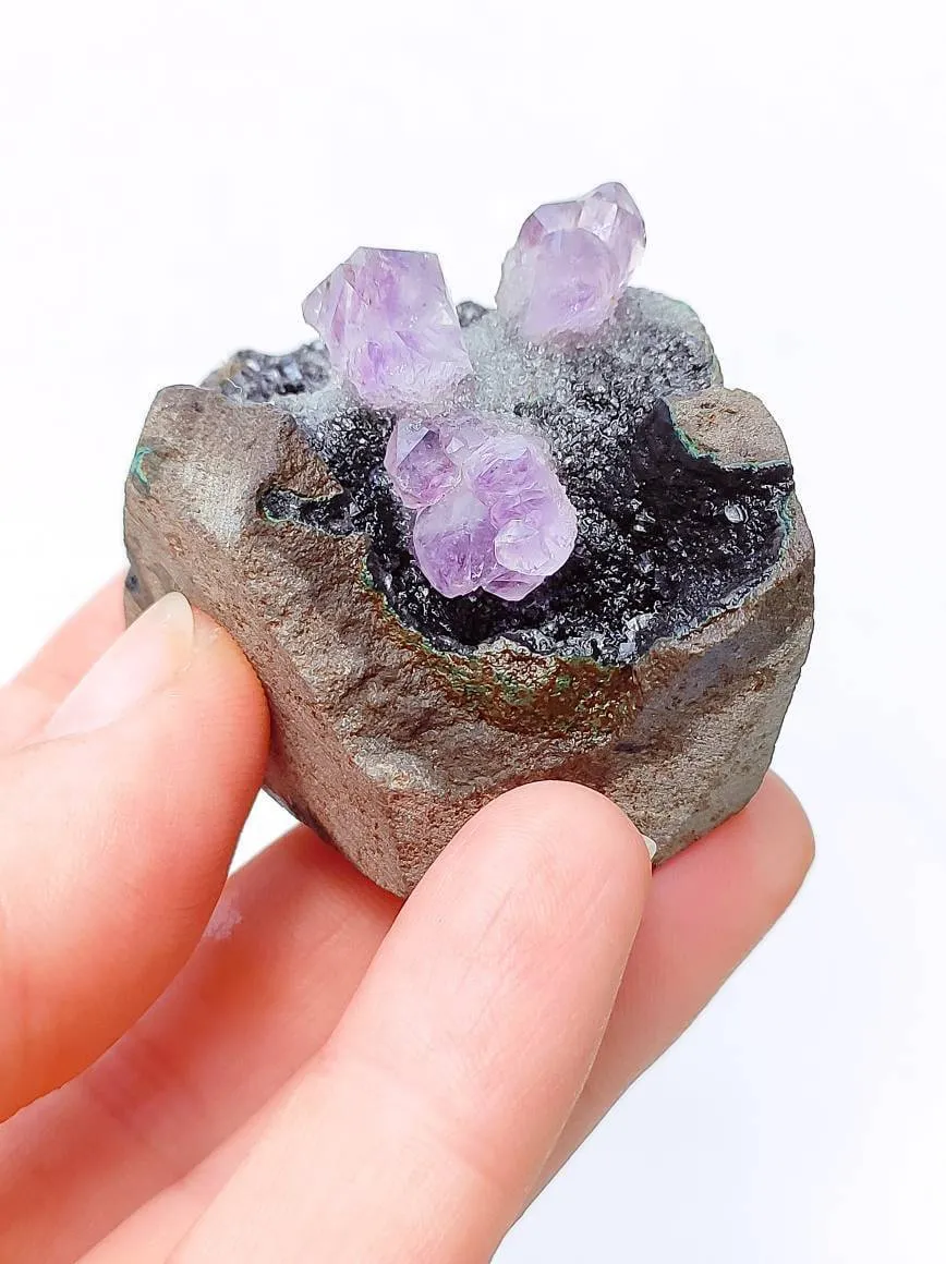 2.5" Druzy Amethyst Geode in Rock Formation