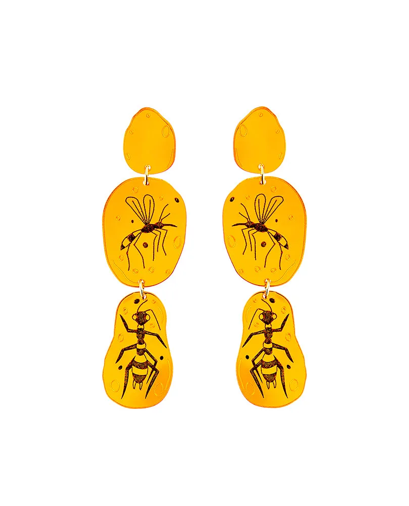 Amber fossil Earrings
