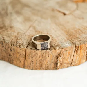 Champagne Stainless Steel Signpost Signet Ring - Red Fossilized Dinosaur Bone Size 9