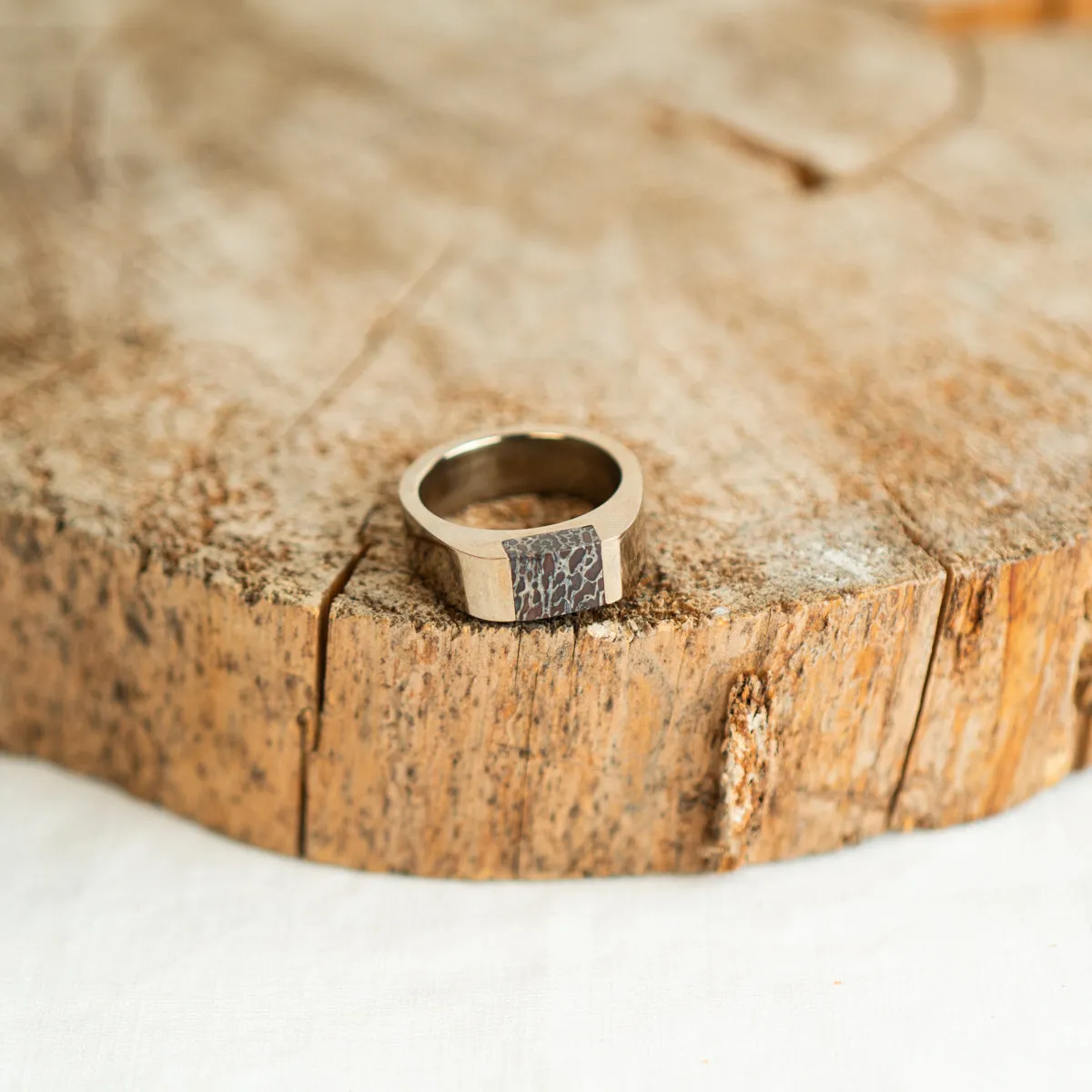 Champagne Stainless Steel Signpost Signet Ring - Red Fossilized Dinosaur Bone Size 9