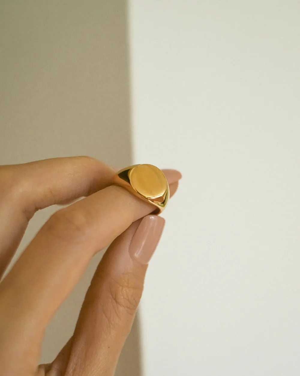 CIRCLE Signet Ring in Gold
