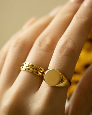 CIRCLE Signet Ring in Gold