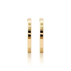 Golden Bliss Gemstone Huggies Earrings
