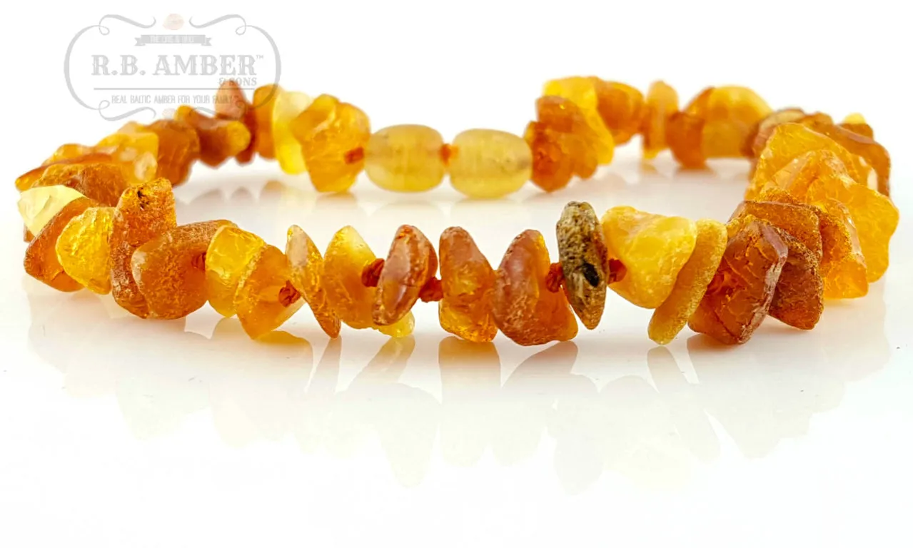 Pet Collars | RETIRED Baltic Amber