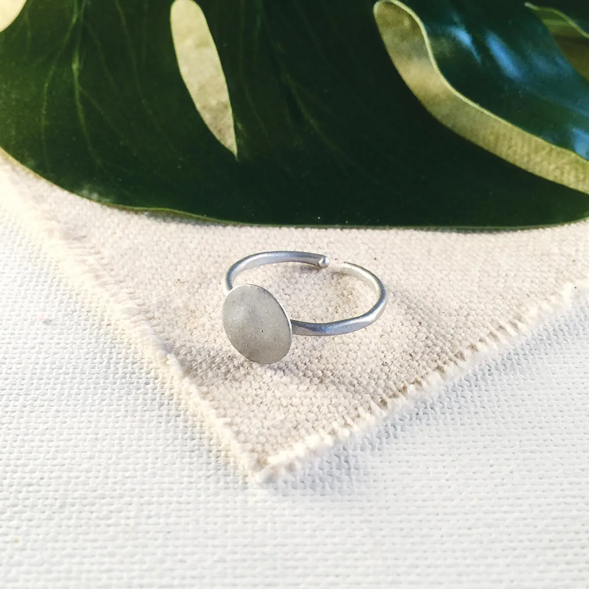 Shashi Ring