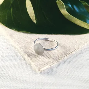 Shashi Ring