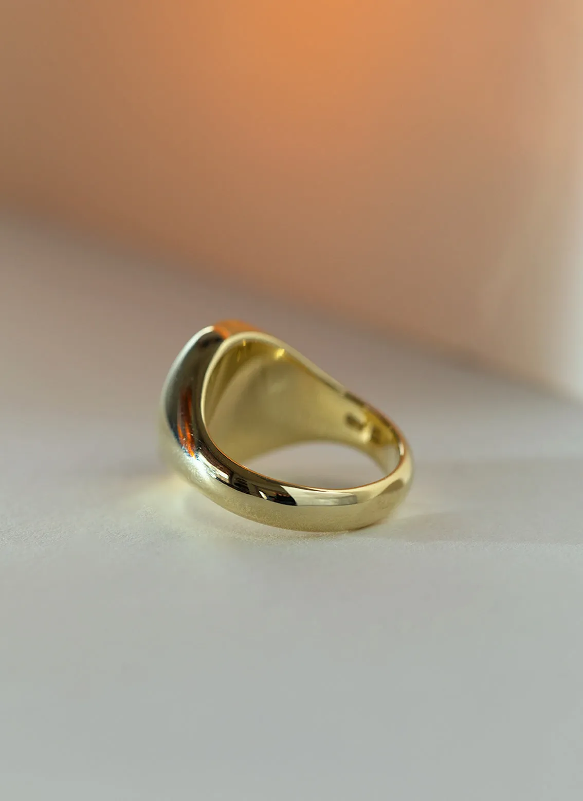 The gent maddox signet ring 14k gold